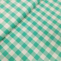 Veneza Baumwolle kariert 20mm mint, weiß