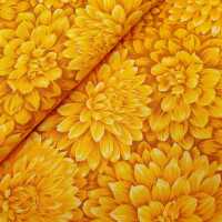 Dazzling Dallias Baumwolle Blumen gelb