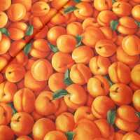 Farmer´s Market Patchworkstoffe Pfirsich orange, grün