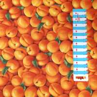 Farmer´s Market Patchworkstoffe Pfirsich orange,...