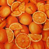 Vegetable Patchworkstoffe Orangen orange