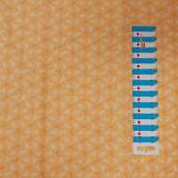 Classic  Cottons Patchworkstoffe Zweige apricot