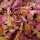 Cord Imprime Feincord Blumen rosa, rost, gelb, schwarz