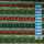 Christmas Stripes II Patchworkstoff, Streifen, eierschale, grün, rot, gelb