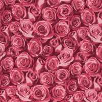 Rosalie by lycklig design, Baumwolljersey, Rosen, pink