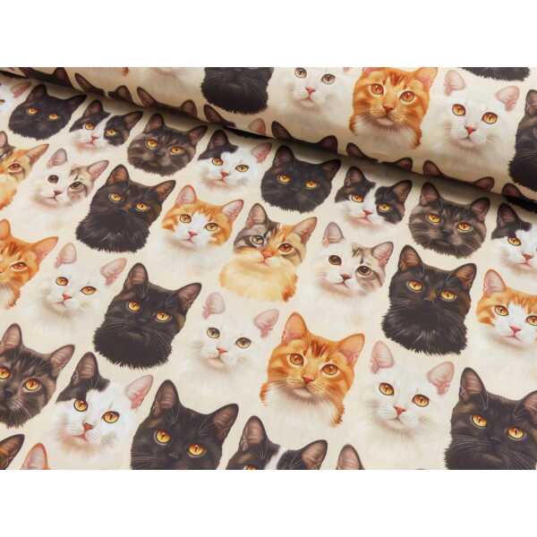 Popeline Digital Druck Katzen Baumwolle Webware Katzen natur