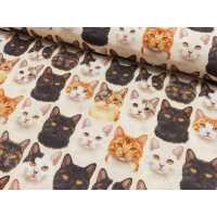 Popeline Digital Druck Katzen Baumwolle Webware Katzen natur