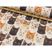 Popeline Digital Druck Katzen Baumwolle Webware Katzen natur