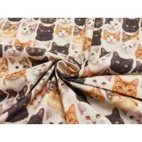 Popeline Digital Druck Katzen Baumwolle Webware Katzen natur