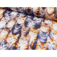 Popeline Digital Druck Katzen Baumwolle Webware Katzen...