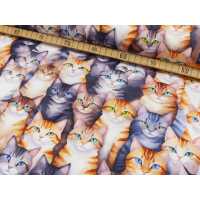 Popeline Digital Druck Katzen Baumwolle Webware Katzen...
