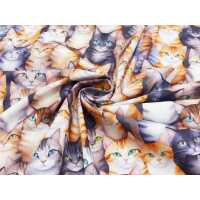 Popeline Digital Druck Katzen Baumwolle Webware Katzen grau orange