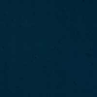 Seagull Ole by Thorsten Berger French Terry meliert blau