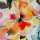Lena Jersey Baumwolle Blumen bunt