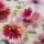 Thea , **Restschrumpfwert ca. 10%** - Musselin, Double Blumen, pink/blau/weiß