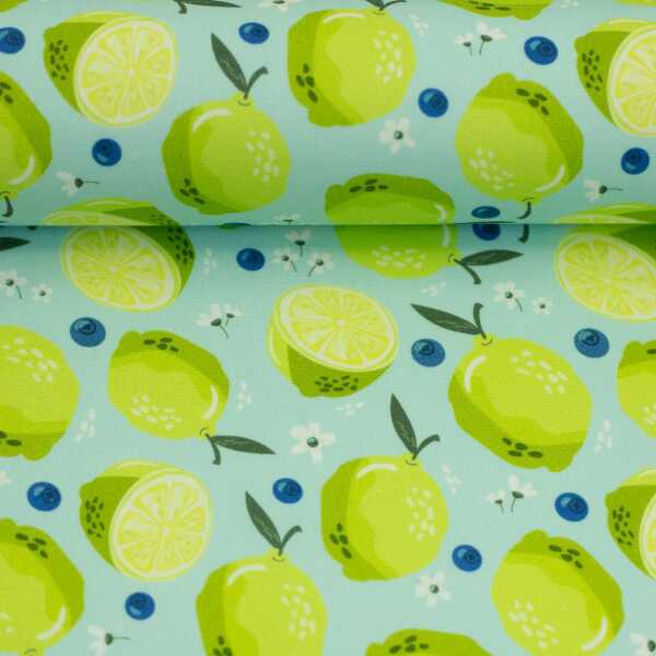 Fruits, Baumwolle Webware Limetten, Blaubeeren, türkis