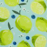 Fruits, Baumwolle Webware Limetten, Blaubeeren, türkis