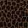 Theo, Jersey Baumwolle, Leo, beige/braun