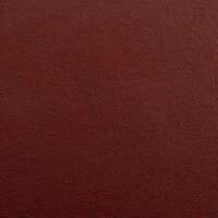 Mirco Kunstleder mit Fleece Abseite rot/beige