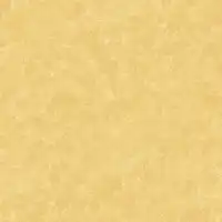 Spraytime by Makower UK Patchworkstoff  Q04 Dark Cream