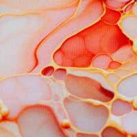 Flowing Bloom (French Terry) by Sarah Marian, French Terry, Liquid, apricot/koralle
