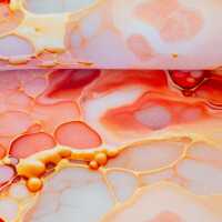 Flowing Bloom (French Terry) by Sarah Marian, French Terry, Liquid, apricot/koralle