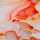 Flowing Bloom (French Terry) by Sarah Marian, French Terry, Liquid, apricot/koralle