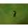 Brither Obermesser 2104D, 3034D, 1034D, 4234D